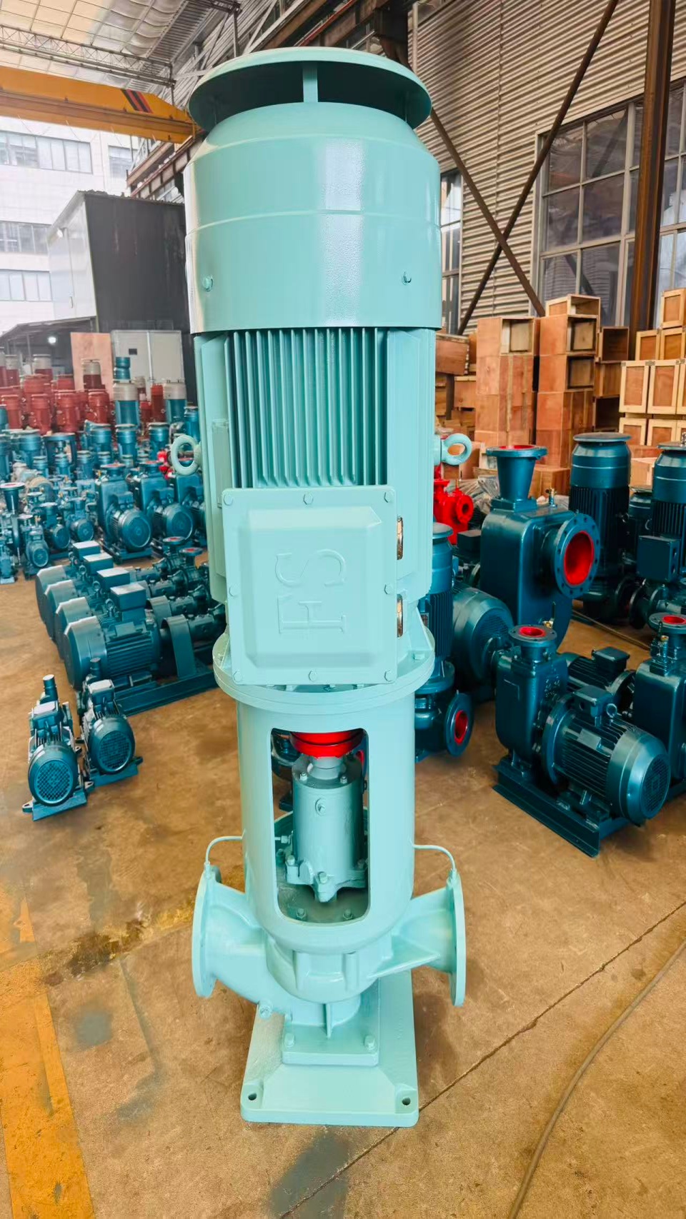 Marine Pumps